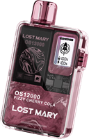 Lost Mary 12000