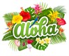 Aloha Sun 10000
