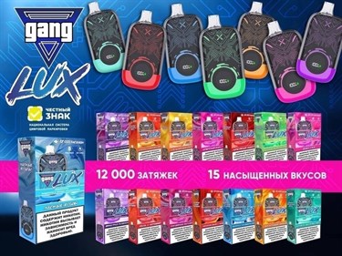 GANG LUX 12000 - Черника земляника мята 4462 - фото 11500