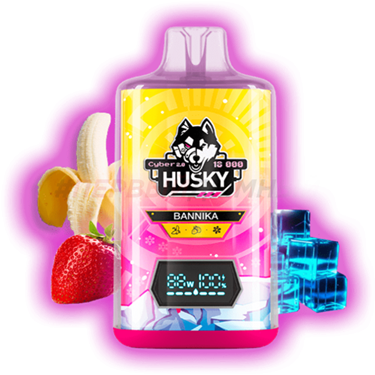 Husky Cyber 2.0 18000 Bannika 4944