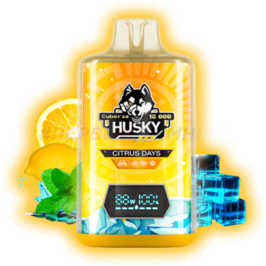 Husky Cyber 2.0 18000 Citrus Days 4948